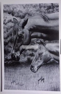 Jesse Ray Signed Print - "Mare and Foal" Horse Print - Picture 1 of 1
