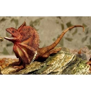 NEW Science Nature Australian Native Frill-Necked Frilled Neck Lizard Model 25cm - Picture 1 of 1