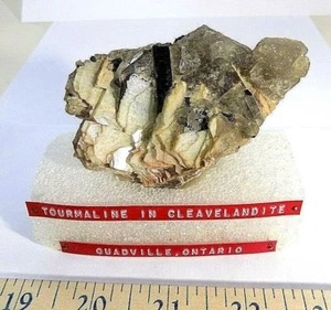 Tourmaline in Cleavelandite  Quadville Ontario  collected 1970     Flat 10 - Picture 1 of 4