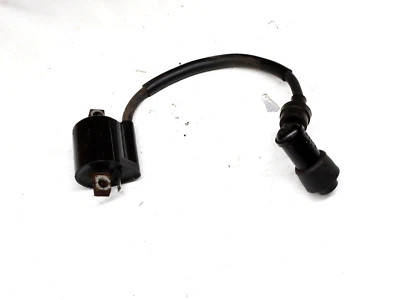 Yamaha TTR50E TT R50E 2006 06-23 bobina de encendido 1P6-H2310-00-00 Foto 1 de 3