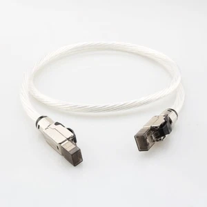 Cavo Ethernet Audio HiFi Placcato Argento Alta Velocità Cat8 2000MHz Rete RJ45 Lan - Foto 1 di 7
