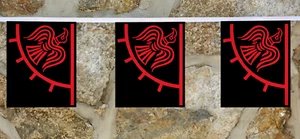 Odincraven Odinic Raven Flag Wimpelkette - 6m mit 20 Fahnen - Bild 1 von 3