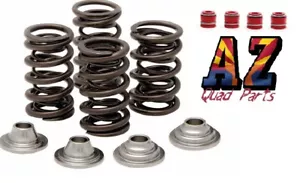 Can Am DS450 DS 450 Kibblewhite Race Head Titanium Valves Springs Kit Seals - Picture 1 of 1