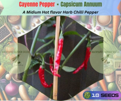 Cayenne Pepper Chilli  10 Seeds - Australian Grown - Image 1 of 4