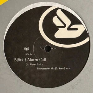 Björk Alarm Call KRUST DNB Drum & Bass 1998 One Little Indian 12" Vinyl Schallplatte - Bild 1 von 4