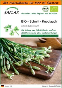 SAFLAX - Garden in the bag - BIO - Schnitt - Knoblauch - 100 Samen - Bild 1 von 10
