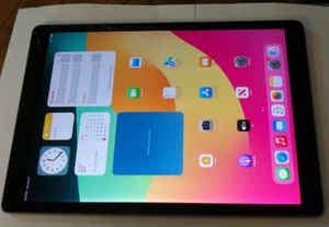 Apple iPad Pro 2nd Gen. 256GB, Wi-Fi, 12.9 in - Space Gray - Fully functional - Afbeelding 1 van 6