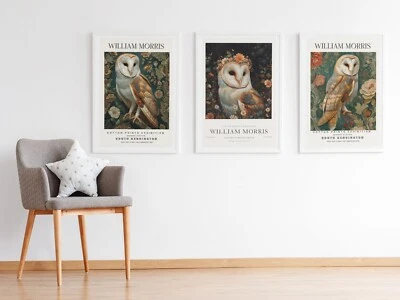 Set of 3 William Morris Vintage Owl Cotton Prints Exhibition Botanical Posters  — 第 1/4 张图片