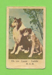 1958 Dutch Gum Card PA #122 Lassie and Laddie