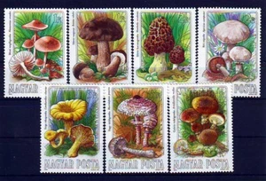 HUNGARY - 1984. Edible Mushrooms - MNH - Picture 1 of 1