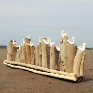 Seagulls on Driftwood | Coastal Decoration by Shoeless Joe