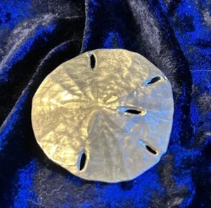 Ungewöhnliche Urlaubserinnerung am Meer VINTAGE SAND DOLLAR ZINN GÜRTELSCHNALLE - Bild 1 von 12