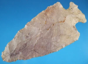 Sehr feine authentische Kentucky Motley Point mit SCA COA Pfeilspitzen - Bild 1 von 3