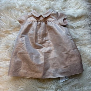 Bonpoint Light Pink Baby Girl Evening Dress Size 12 Months - Picture 1 of 6