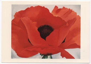 GEORGIA O'KEEFFE amerikanische Künstlerpostkarte ROTER MOHNBLUMEN Kunstinstitut Chicago IL - Bild 1 von 2