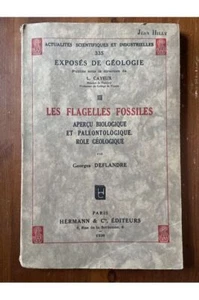 Les flagellés fossiles, Aperçu biologique et paléontologique, Rôle géologique Ge - Picture 1 of 1