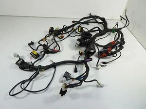 Aprilia Dorsoduro 750 2008-2016 Kabelbaum (Wire Harness) 201633159 - Bild 1 von 7