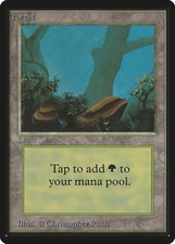 Forest (A Rocks) Beta HEAVILY PLD Basic Land MAGIC THE GATHERING CARD ABUGames