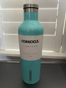 Brand New In Box Corkcicle 16 Oz Canteen Pink 25 Hrs Cold 12 Hrs Hot - Picture 1 of 5