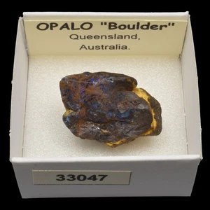 OPALO Noble "Boulder" (Queensland, Australia) #33047 / Boulder Opal - Picture 1 of 1