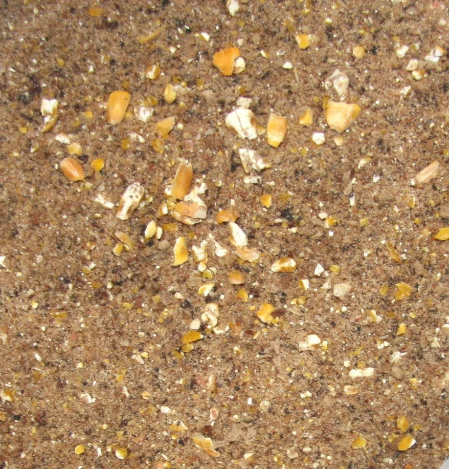 Karpfen Schleien Spezial mit Mais Lockfutter Anfutter 20 kg (1,73€/kg) - Bild 1 von 1