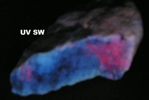 FLUORESZIERENDES EUKRYPTITE - 8,3 cm - alte Sammlung - BIKITA MINE, SIMBABWE 29196 - Bild 1 von 8