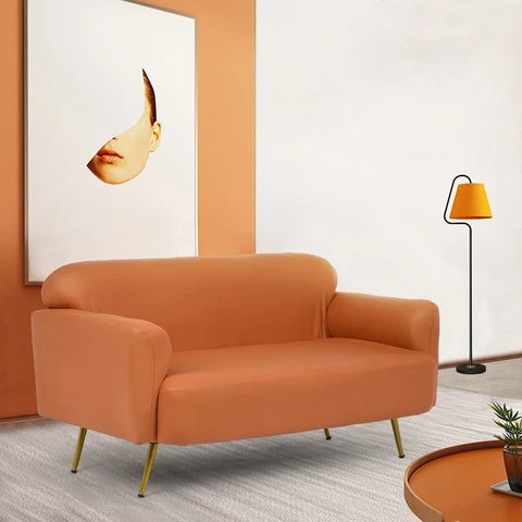 Nordic Danish Design Light Luxury Sofa Modern Couches down Sofa Cover