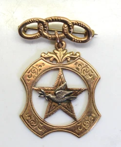 Vintage Fraternal Odd Fellows 10K Gold Brooch Pin, Daughters of Rebekah - Picture 1 of 4