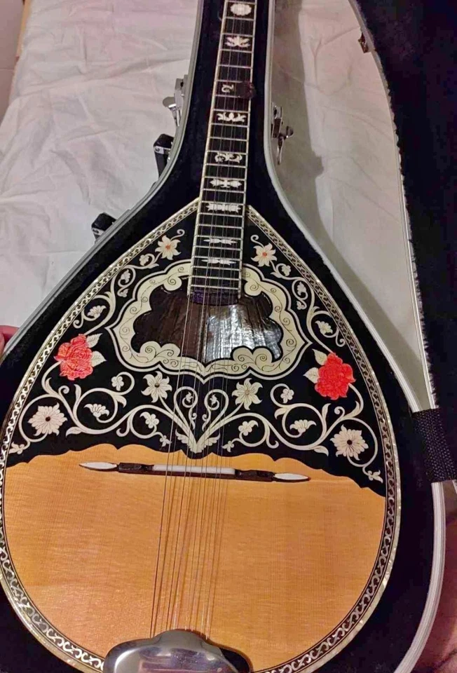 Greek Bouzouki - HARDCASE & PICKUP INCLUDED - PROFESSIONAL - Image 1 of 4