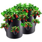 Garden Tools Strawberry Growing Bag Planting Container  Vegetable Tomato Potato