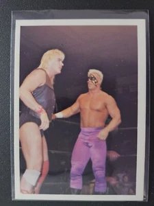 1988 Wonderama NWA #9 BARRY WINDHAM & STING (RC) ROOKIE - Picture 1 of 2