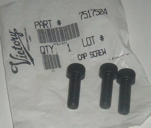 PAQUETE DE TORNILLOS POLARIS OEM REEDICIÓN MOTO DE NIEVE ATV PWC TAPA DE TRES 3 7517524 - Imagen 1 de 1