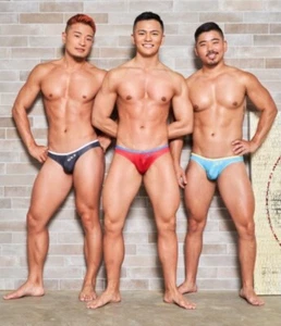 GX3 3 Pack Gloss Sports V-Fit Bikini Brief Japanese Small / Medium - Picture 1 of 9