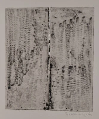 Thomas Krüger /Handsigniert /Radierung /1974 - Bild 1 von 3