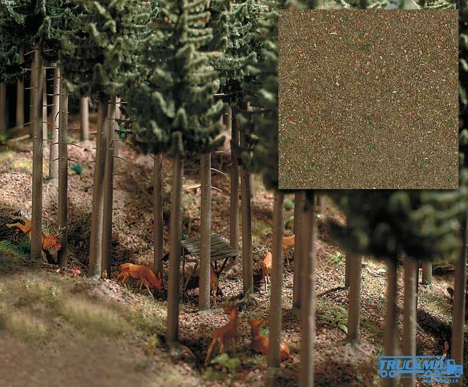 Bosco di conifere fondo 7529 - Immagine 1 di 1