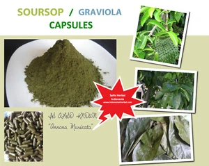 120 CAPSULES Dried Soursop Graviola Guanabana Leaves Organic Wild Crafted Herbs - Picture 1 of 7