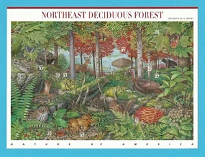 3899  US ...Northeast Deciduous Forest...Never Hinged Sheet issued year 2005 - Picture 1 of 2