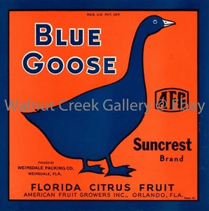Florida Crate Label Fine Art Print, Goose, approx 10.8"x 10.9" 13172 - Picture 1 of 1
