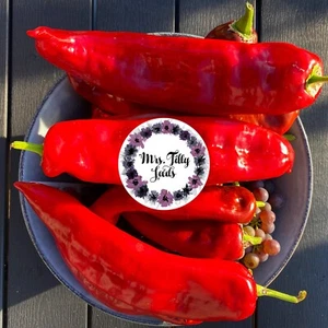 Paprika Spitzpaprika 20 Samen MARCONI ROT süße alte Sorte ertragreich und süß - Bild 1 von 3