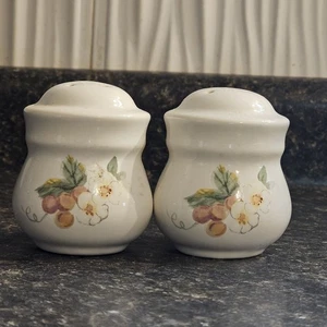 Pfaltzgraff "Orchard" Salt And Pepper Shakers Set Grapes Floral Vines Vintage - Picture 1 of 5