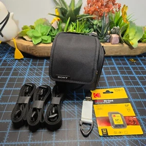 Sony LCS-FEA1 Carrying Lens Case Soft Carrying Case for SAL70300G2 SEL90M28G - Picture 1 of 5