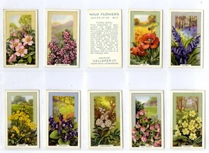 Full Set, Gallaher, Wild Flowers 1939 VG (Gd2657) 48/48 - Picture 1 of 4