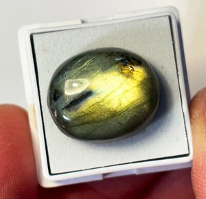 Labradorite Autumn Gold Oval 20x16x6mm x 1 loose Cabochon Gemstone LAB046 - Picture 1 of 3