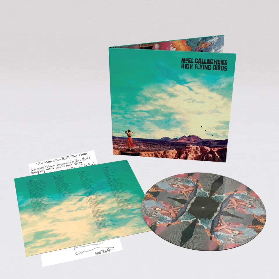 Noel Gallagher's High Flying Birds Who Built The Moon? Picture Disc VINYL 1st PS — 第 1/1 张图片