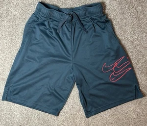 Nike Boy's Dri-Fit Elastic Waist Pull On Blue Basketball Shorts Size L - Picture 1 of 5