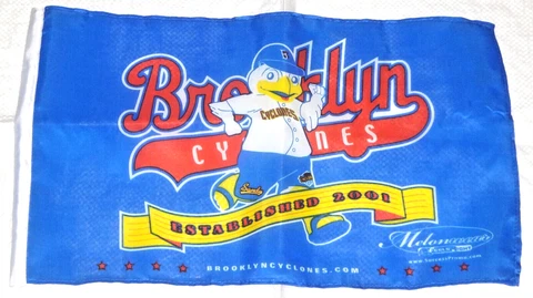 BROOKLYN CYCLONES SGA TEAM MASCOT FLAG SANDY THE SEAGULL BANNER BK NEW YORK METS Cover