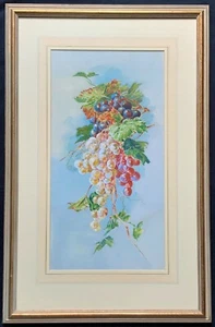 Exceptional Quality Vintage Still Life Study Of Grapes Watercolour Painting - Imagen 1 de 12