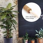 50 cm Kokos Totemstange Kletterpflanzen Stick Feuchtigkeit erhalten Kriecher UK VERKÄUFER