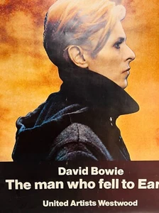 1976 The Man Who Fell To Earth David Bowie Nicolas Roeg US Subway size NYC RARE - Bild 1 von 22