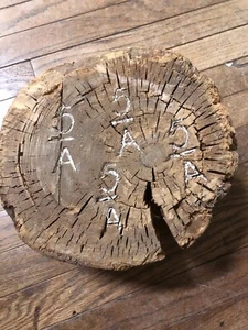 Extremo de troncos de madera para tala/madera con identificación de insignia estampada ~ Bay City, Michigan ~ LG3 - Imagen 1 de 8